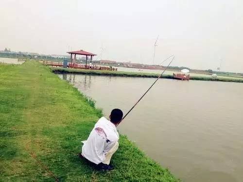 钓鱼高逼格