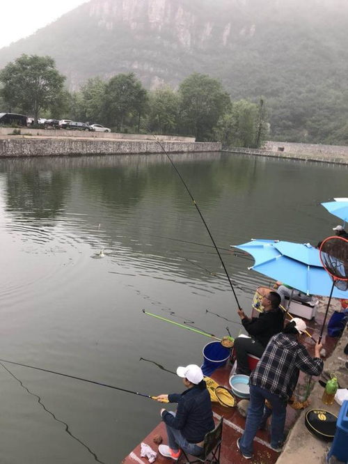 周年庆 钓鱼之家会员pk赛,精彩呈现