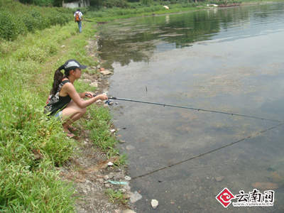 阳宗海水问题观察 云南网记者实地探访
