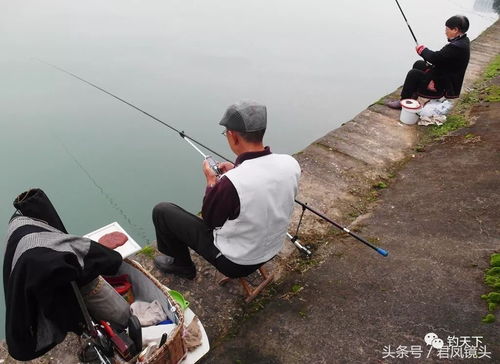 钓鱼爱好者在长江支流垂钓,老奶奶40分钟钓起13条鱼