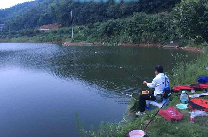 夏末初秋水库钓鱼饵料的调整方法