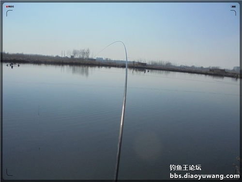 湖北钓鱼王渔具公司 图 垂钓工具哪里有卖 滁州垂钓