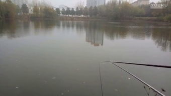 钓鱼教学视频 –