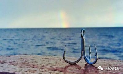 Mustad 助力 2019龙山湖国际舟钓锦标赛,优质装备等你拿!