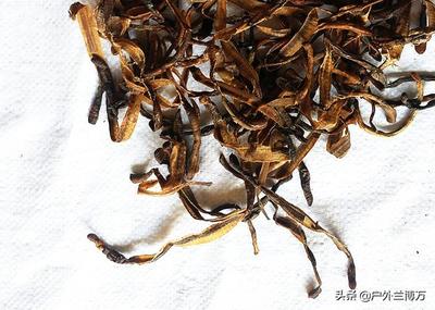 大叔因无钱购买饵料,自制钓鱼饵料效果超越市售产品