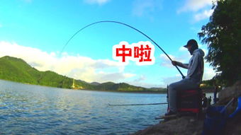 钓鱼大鱼 –
