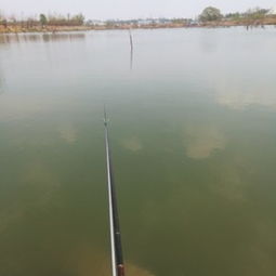 湿地垂钓园