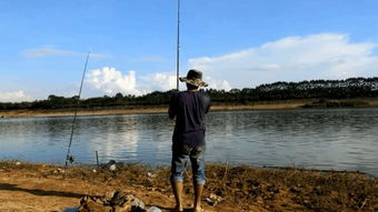 钓鱼节日 垂钓的乐趣与文化