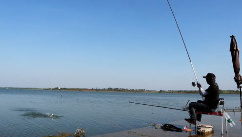 钓鱼维的垂钓世界 探索个人频道的魅力