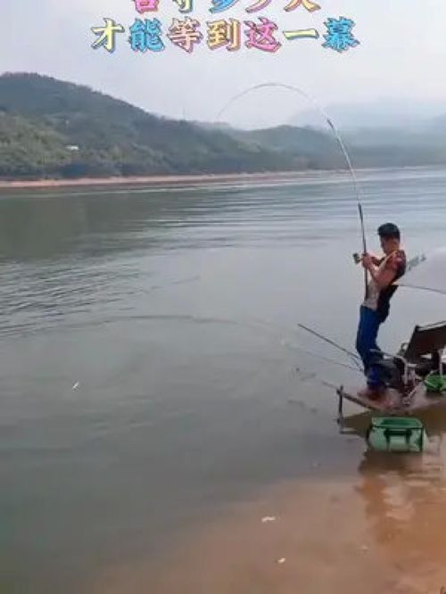 垂钓之乐,唯有钓者知