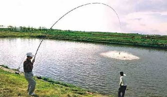 水层温差对钓鱼的影响与垂钓策略