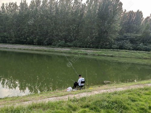 久违的垂钓之乐 两处钓点收获20尾鱼的酣畅体验