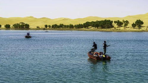 慈溪小鱼饵的全球征服 从江南作坊到风靡俄罗斯，连国际品牌都来山寨