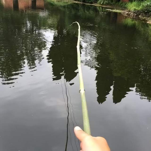 限制还是放开 解决违规垂钓的出路在哪里